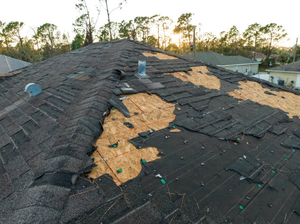 Best Roof Restoration  in USA